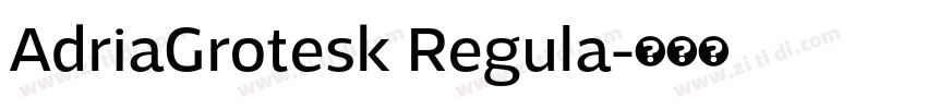 AdriaGrotesk Regula字体转换 AdriaGrotesk Regula字体转换